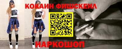 молекула духа Камышлов