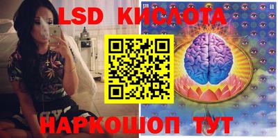 молекула духа Камышлов