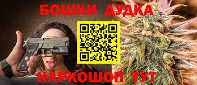 молекула духа Камышлов