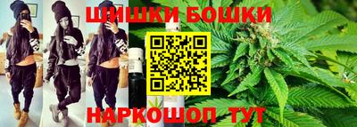 молекула духа Камышлов