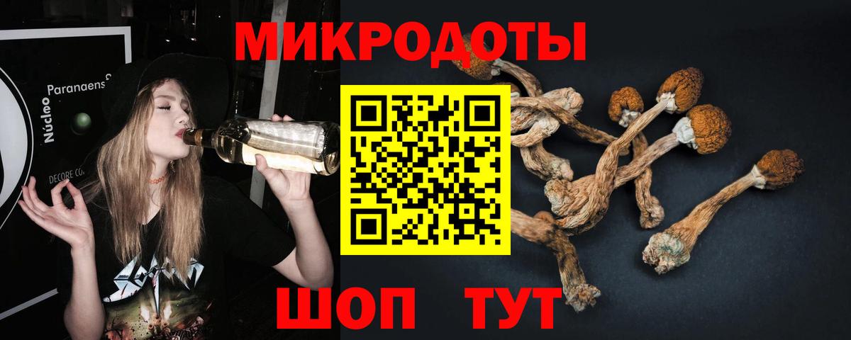 Псилоцибиновые грибы MAGIC MUSHROOMS Котовск